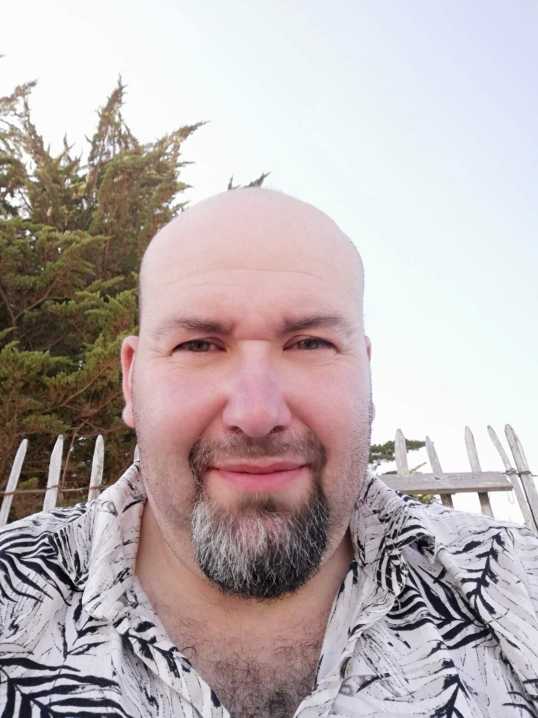 Profil de Adrian